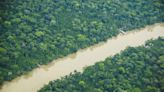 Amazônia e Pará registram queda de mais de 60% no desmatamento nos dois últimos anos, diz MapBiomas