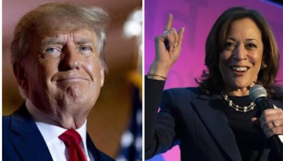 Kamala Harris vs Donald Trump: Opinion polls reveal game changing dynamics