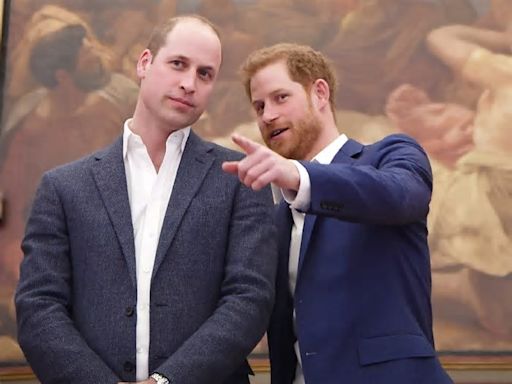 Afastamento de príncipe Harry e William dura 2 décadas, disse autor