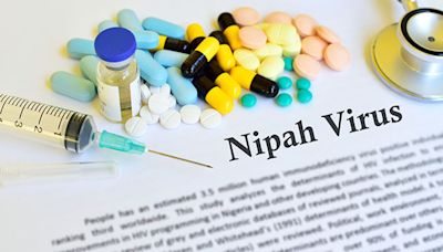 Kerala Prepares Special Action Calendar To Prevent Nipah Virus Outbreak