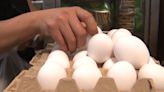 ¡El precio del huevo está por los cielos! Pero ¿por qué y en dónde está más caro?