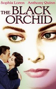 The Black Orchid (film)