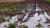 Showers cause planting delays in parts of Iowa