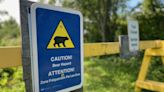 Family of bears spotted at New Brunswick nature centre