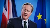 UK Foreign Secretary Cameron visits Lviv, plants a tree – video