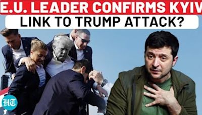 Trump Shot For 'Pro-Peace' Stand On Ukraine: EU Leader; Zelensky Rival Vindicated? | US Election