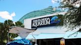 The Florida Aquarium ranked among top 10 best aquariums in the nation, USA Today survey reveals