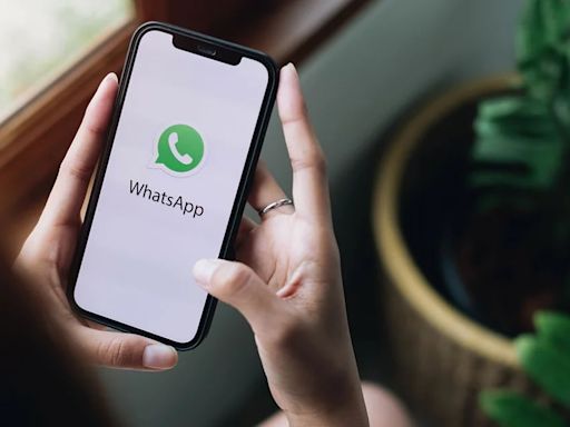 Actualiza WhatsApp en tu iPhone, estas son las novedades