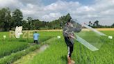Rice is a silent source of methane emissions: Meet the startup helping farmers tackle the problem