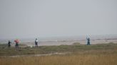 Cleethorpes paddleboarders warned to stay away from saltmarsh where rare birds are nesting