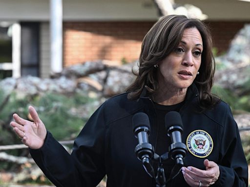 Harris ripped over ‘late’ Georgia visit after Hurricane Helene: ‘Kamala poses for photo ops and fake virtue signals’