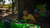 Route to Super Bowl dangerous for Mexico's avocado haulers