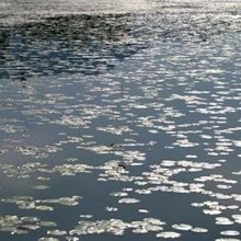 Dal Lake