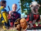 UK’s ‘ugliest dog’ becomes Hollywood royalty — starring in ‘Deadpool & Wolverine’