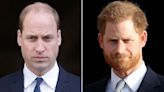 Prince Harry and Prince William Have 'Secret' 3-Word Code Used 'Only in Times of Extreme Crisis'