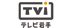 Television Iwate