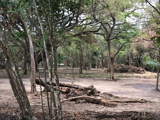 Asamblea Nacional discutirá afectaciones al Jardín Botánico de Naguanagua