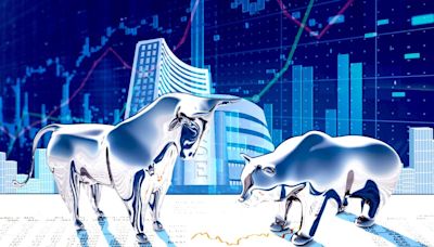 Multibagger stock: Brokerages are mostly bullish despite expensive valuations, here’s why