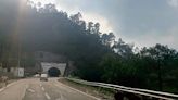 Abandoned cattle on Solan-Shimla Highway