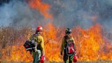 Expect to see smoke around Campo as Cal Fire conducts controlled burn