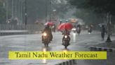 Tamil Nadu Weather Update: Chinnakalar Records 20 CMS Rains; Heavy Downpour Alert Issued