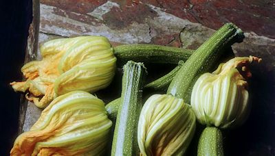 Comment choisir et cuisiner la courgette ?