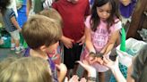 Baby gators visit Audubon Regional Library as part of summer reading program