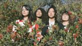 LA LUZ Release New Single 'I'll Go With You' From Upcoming Album