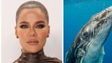 Khloe Kardashian suspects her children are using whale drawings to make fun of her