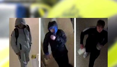 Theft suspect pictures released by police investigating supermarket break-in