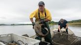 Dozens of commercial fishermen used to work the upper Mississippi River. Now, a way of life is winding down.