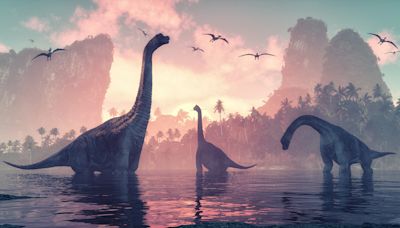 Early dinosaurs' complex lost world revealed: "Unique importance"