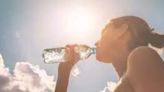 Life and death in the heat. What it feels like when Earth's temperatures soar to record highs - ET HealthWorld