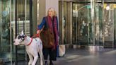 ‘The Friend’ Review: Naomi Watts Inherits a Handful in a Dog Movie That’s Really About Accepting Mortality