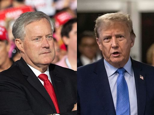 Mark Meadows asked the Supreme Court to recognize his 'just following orders' defense. A right-wing justice wasn't buying it.