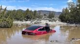 Tesla driver watches while FSD sends his Model 3 into a giant puddle