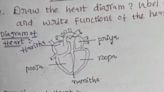 ...On Internet Today: Student Draws Heart Diagram, Labels Parts Of Organ With Girl Names In Viral Answer Sheet