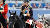 Princess Anne Hospitalized With Concussion and Minor Injuries After ‘Incident,’ Buckingham Palace Says