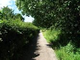 Wirral Country Park