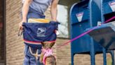 USPS says more than 5,800 letter carriers were big by dogs in 2023