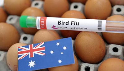 H7 bird flu hits another Australian poultry farm in quarantine zone