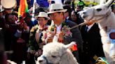 Bolivia Year of Camelids