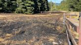 4 fire halls quickly douse fast-moving grass fire in Otter Point