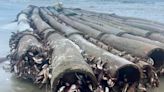 Bamboo raft of mysterious origin appears on Galveston beach