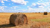 Developer Breaks Ground On First Agri-Community In Linn County | 1430 KASI