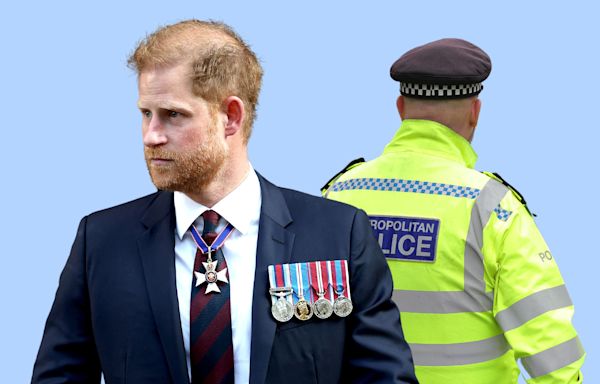 Prince Harry's police security: new UK government issues 1st statement