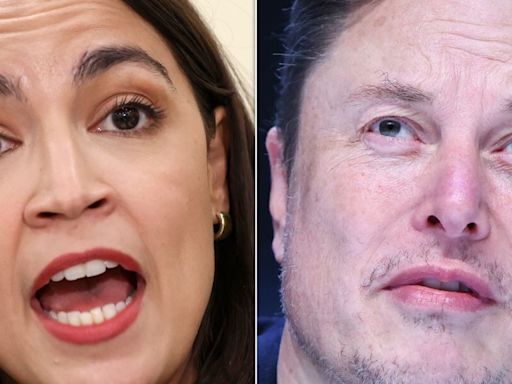 Alexandria Ocasio-Cortez Puts Elon Musk In His Place With Perfectly Patronizing Reminder