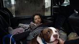 Dog saves baby from house fire in Detroit, family struggles to recover