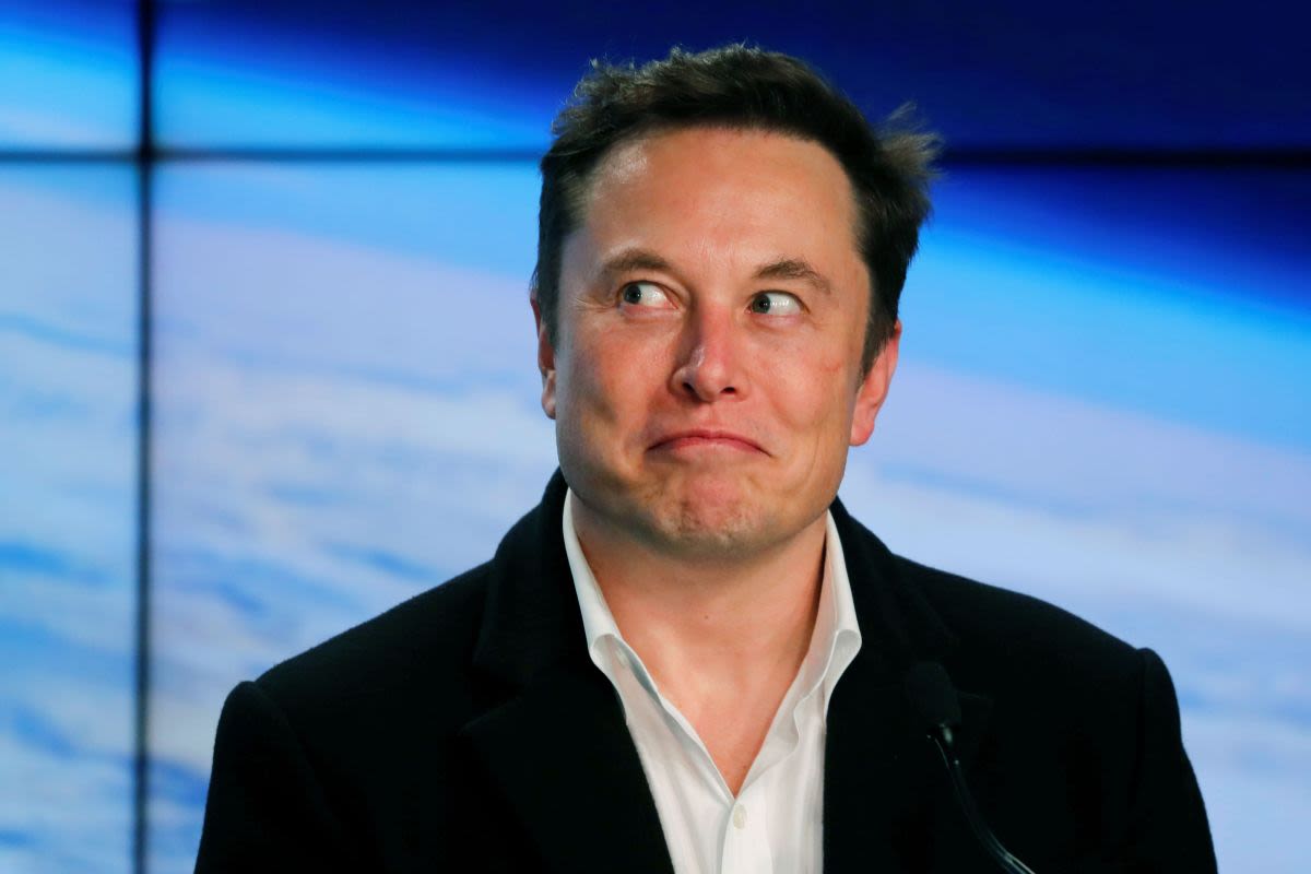 Elon Musk says all jobs will be optional in the future as AI will take care of us — if we're lucky