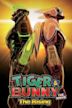 Tiger & Bunny: The Movie: The Rising